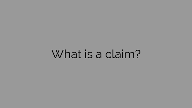 What is a claim?