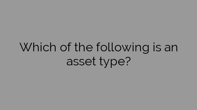 Which of the following is an asset type?