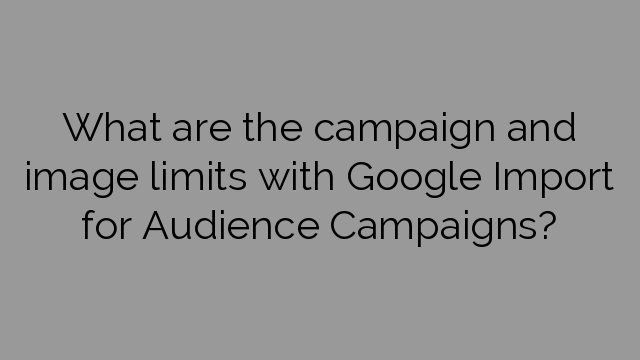 What are the campaign and image limits with Google Import for Audience Campaigns?