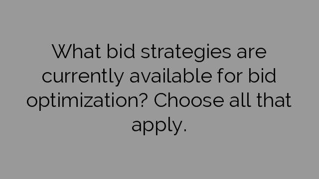 What bid strategies are currently available for bid optimization? Choose all that apply.