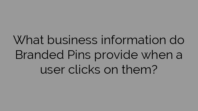 What business information do Branded Pins provide when a user clicks on them?