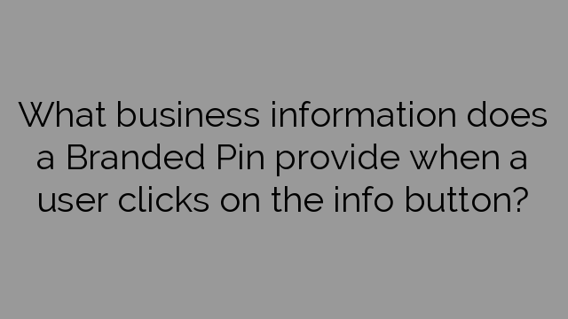 What business information does a Branded Pin provide when a user clicks on the info button?