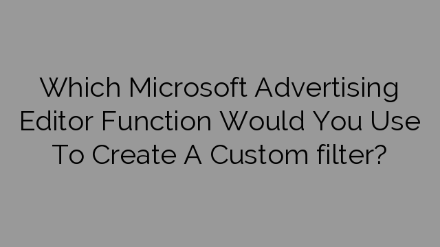 Which Microsoft Advertising Editor Function Would You Use To Create A Custom filter?