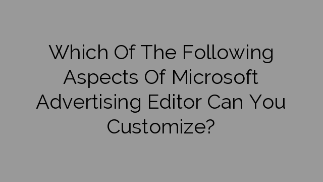 Which Of The Following Aspects Of Microsoft Advertising Editor Can You Customize?