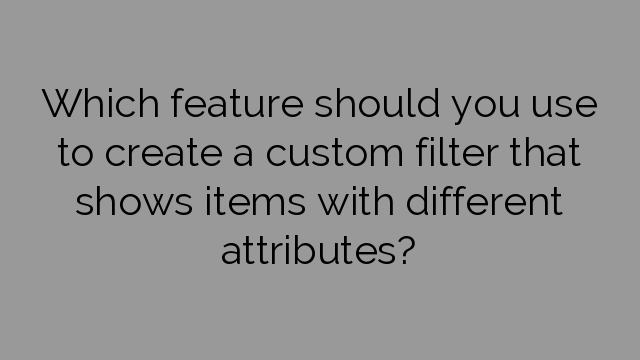 Which feature should you use to create a custom filter that shows items with different attributes?