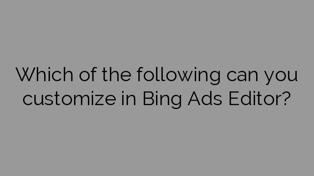 Which of the following can you customize in Bing Ads Editor?