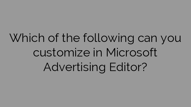 Which of the following can you customize in Microsoft Advertising Editor?
