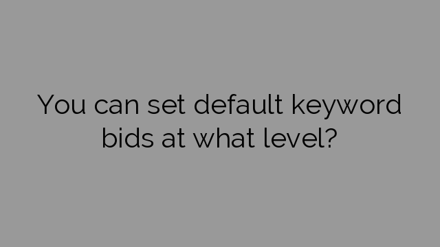 You can set default keyword bids at what level?