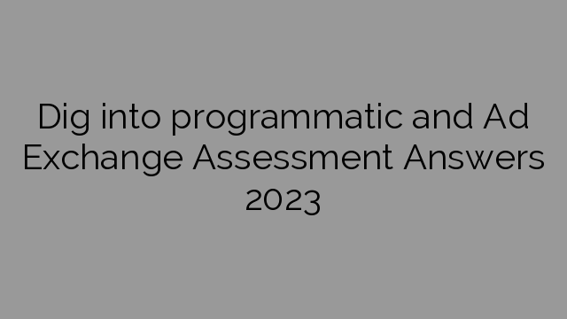 Dig into programmatic and Ad Exchange Assessment Answers 2023